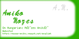 aniko mozes business card